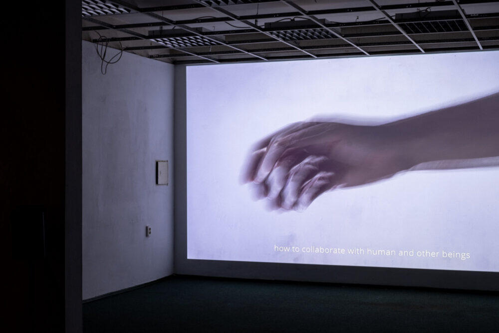 Ausstellungsansicht von Kristina Cyans Videoessay Efficient surveillance on invisible rays (2022). Foto: Anna Perepechai/Künstlerische Tatsachen.