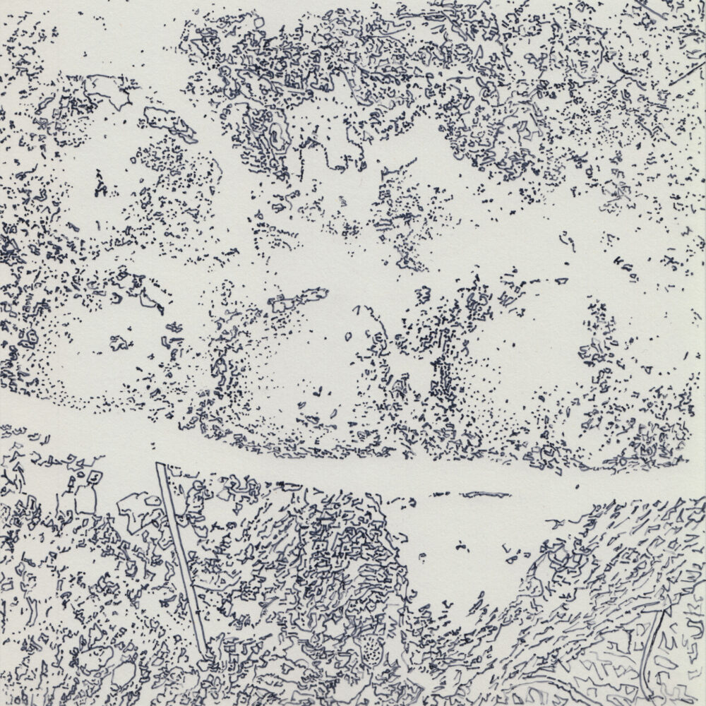 Oliver Thie: Ausschnitt aus Expedition No.6: Schmutz oder was nicht zum Tier gehört (2015). Tinte auf Folie, 11 Quadranten, insgesamt 220 x 20 cm.