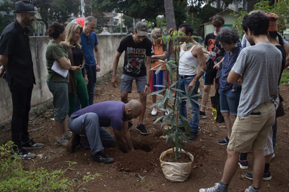 Siembra comunal: Garten von Dulce María Loynaz, Havanna (2019). Foto: Irving Alfaro. 
